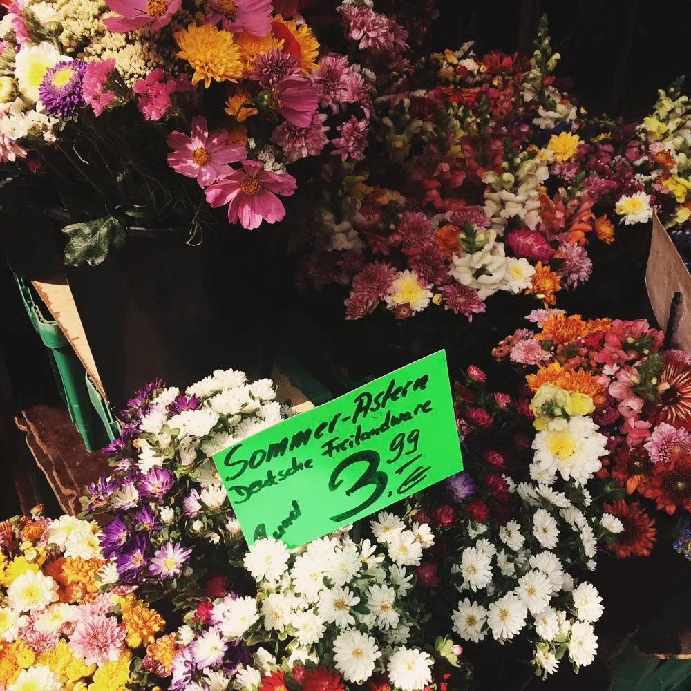 Photo from my Berlin Instagram diary, photo 1