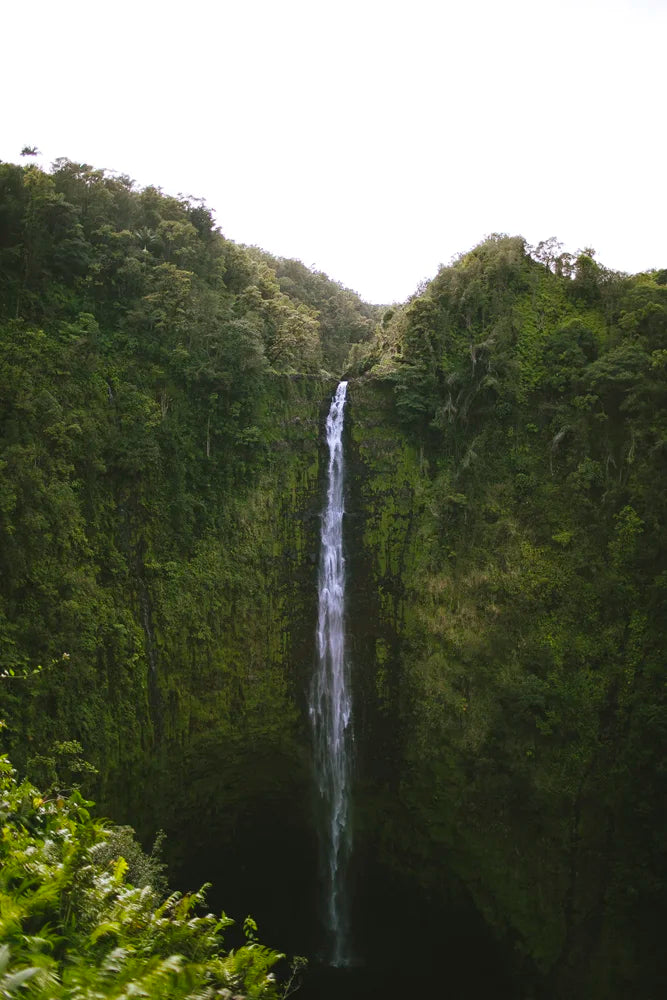 Waterfall travel photo near Hilo on the Big Island of Hawaii, photo 1