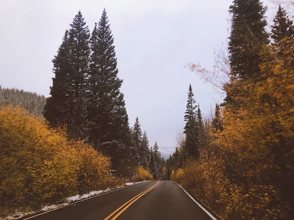 Photo from my Colorado Instagram diary, photo 1