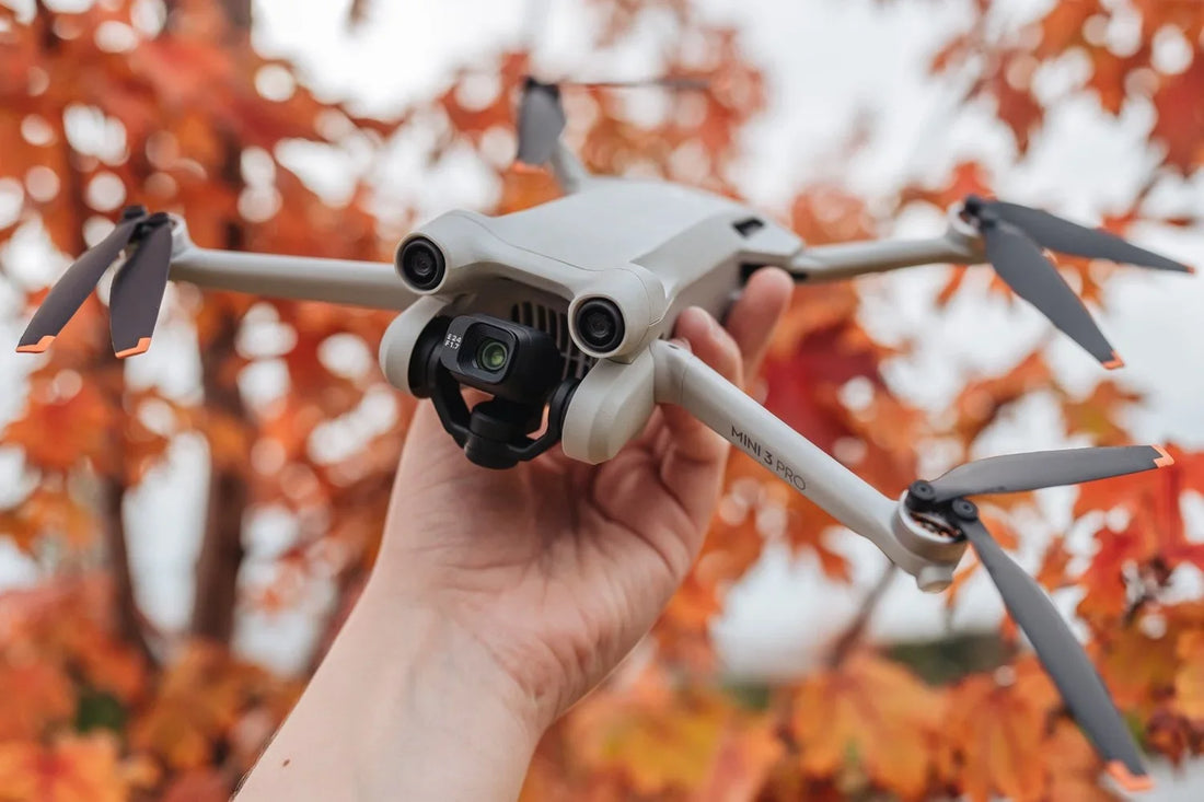 Photo taken with the DJI Mini 3 Pro, photo 1