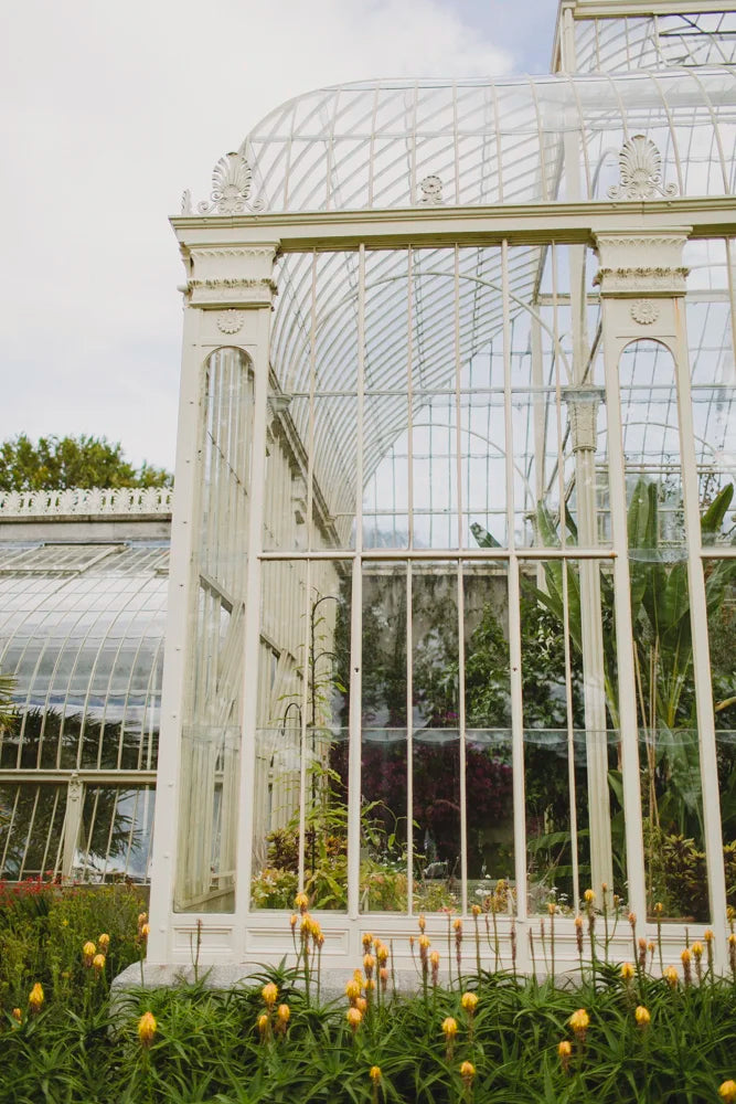 Greenhouse travel photo at the Dublin Botanic Gardens, Ireland, photo 1