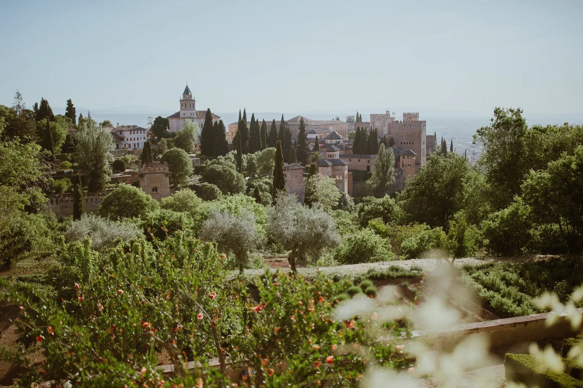 Travel photo of Granada, Spain taken in 2019, photo 1