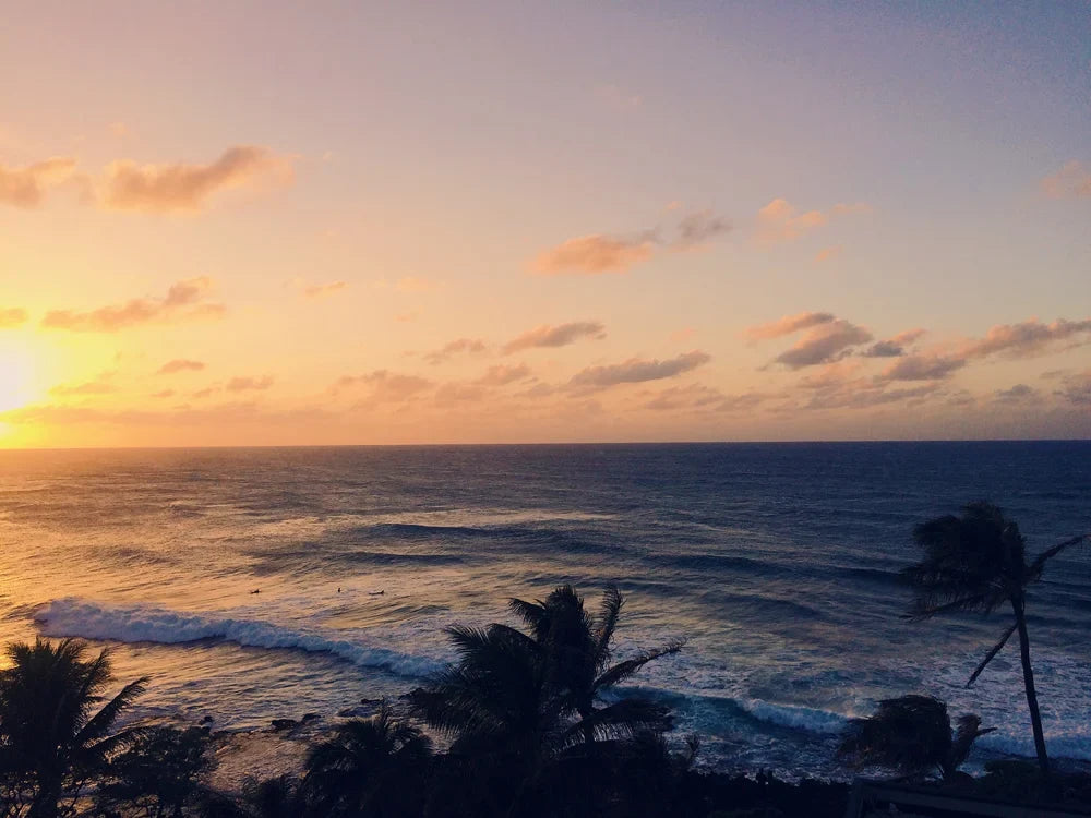 Photo from my Hawaii Instagram diary part two, photo 1