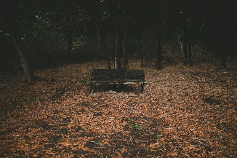 Personal travel photo from the road in NSW, photo 1