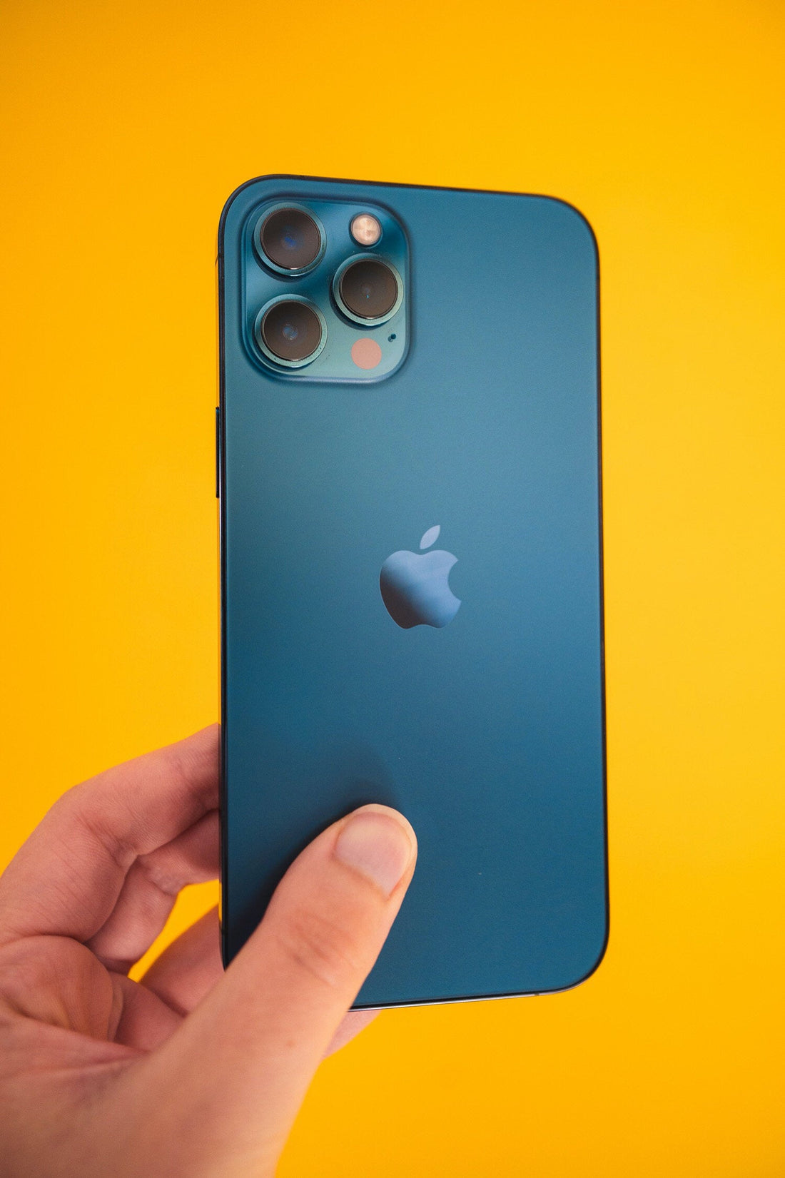 Photo taken on the iPhone 12 Pro Max, photo 1