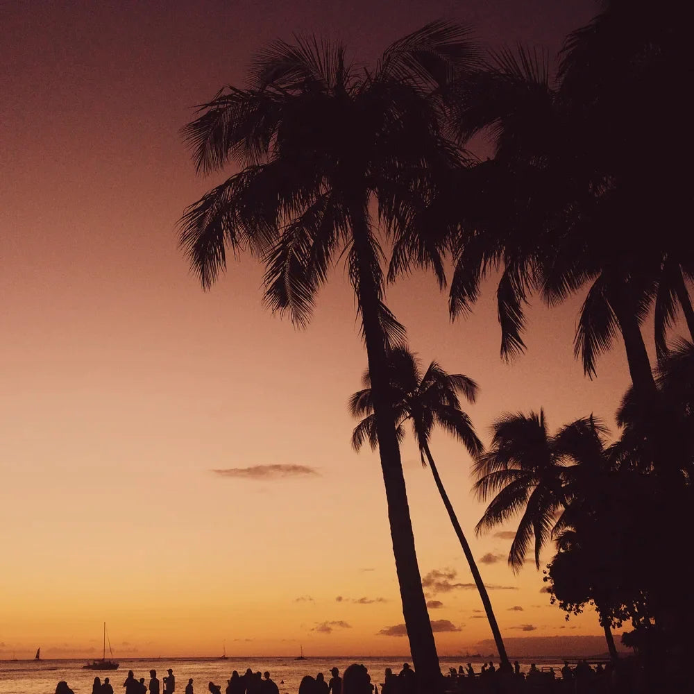 Photo from my Oahu, Hawaii Instagram diary, photo 1