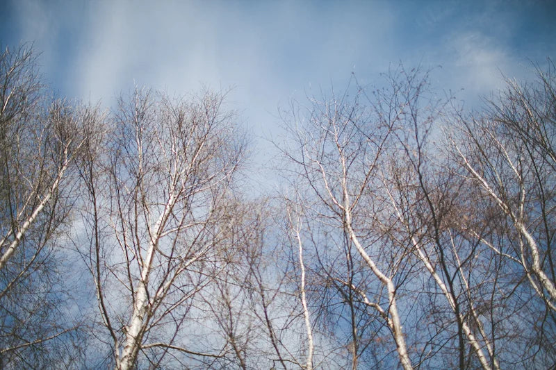 Travel photo from Poland, photo 1
