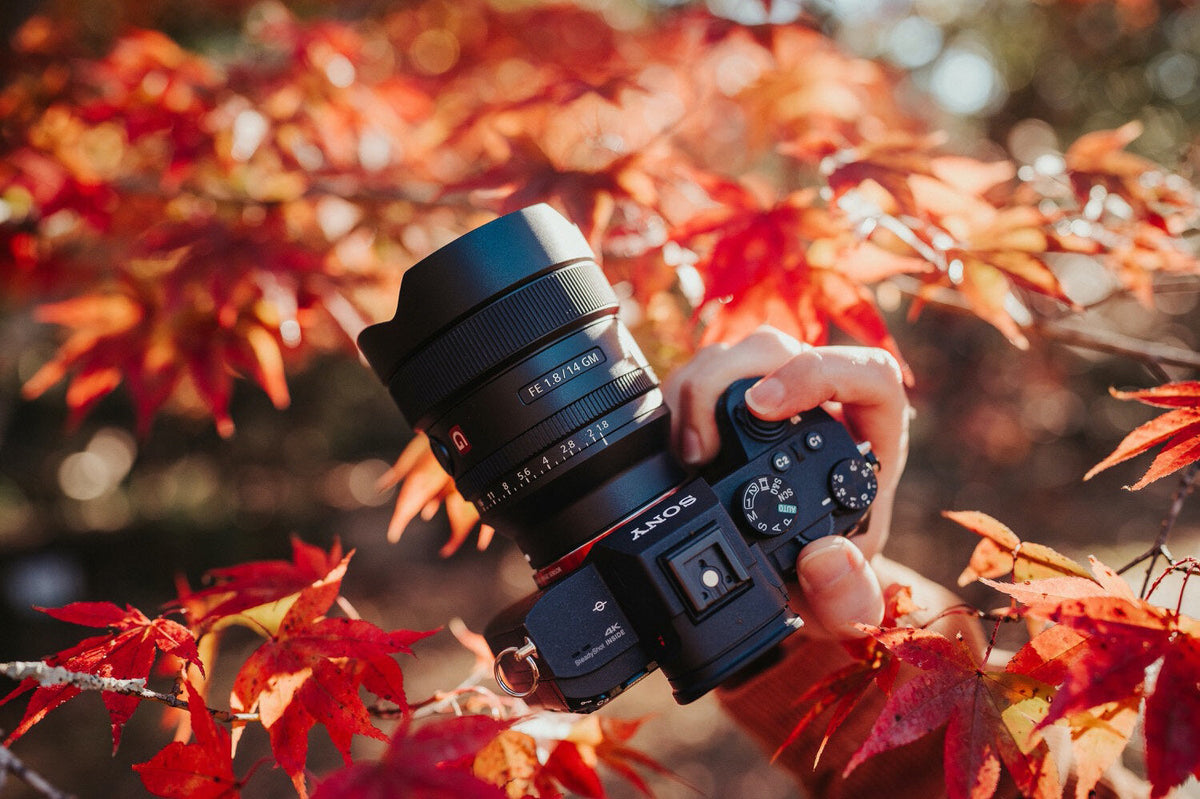 Photo taken with the Sony GM 14mm f1.8, photo 1