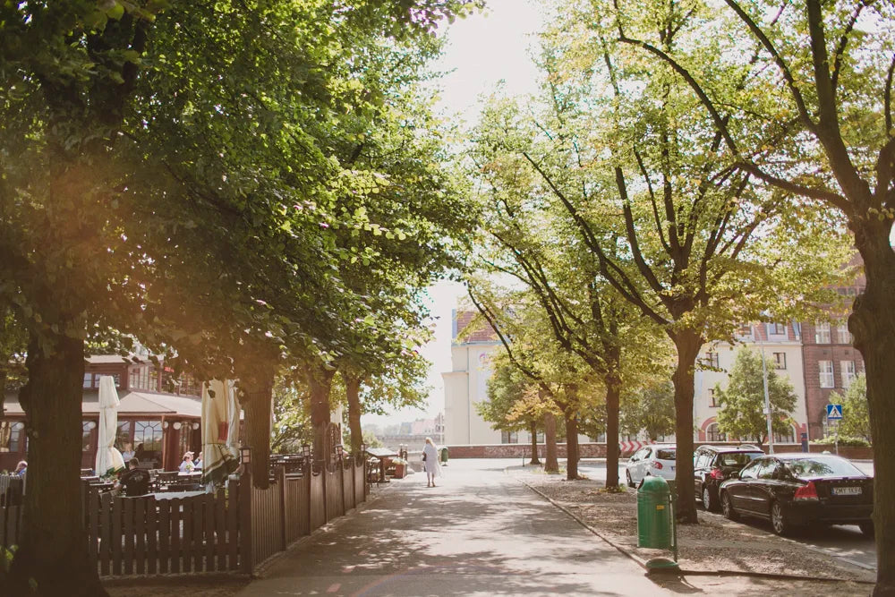 Travel guide photo from Szczecin, Poland, photo 1