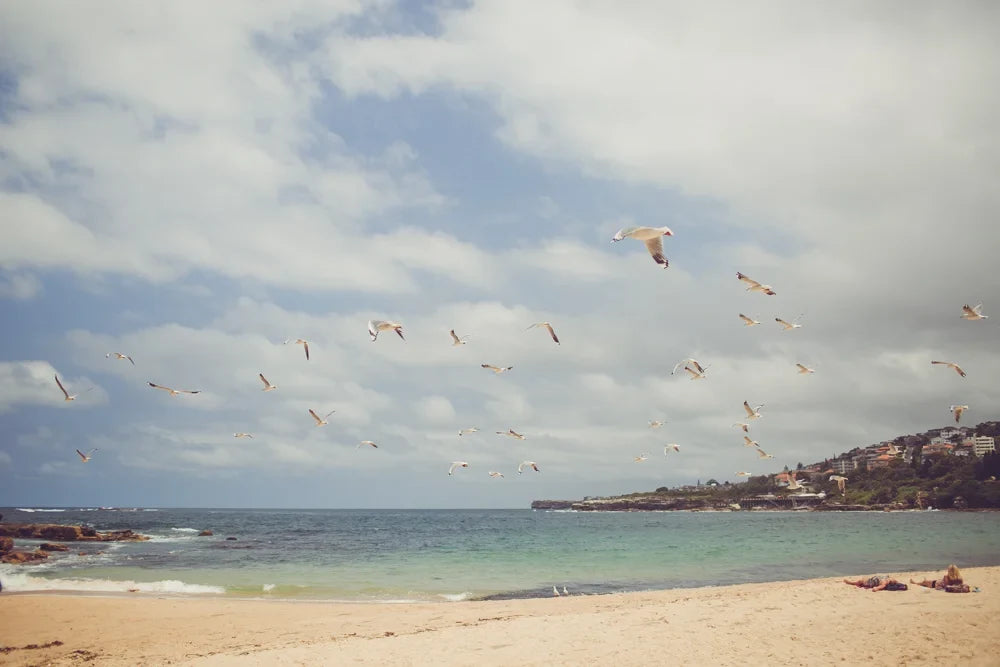 Sydney beach photo from a campaign shoot, photo 1