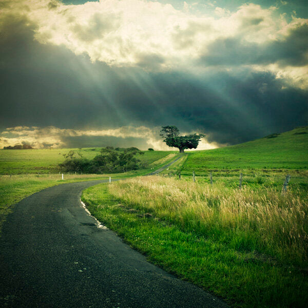 Photoshop edited creative photo made on Christmas Eve, photo 1