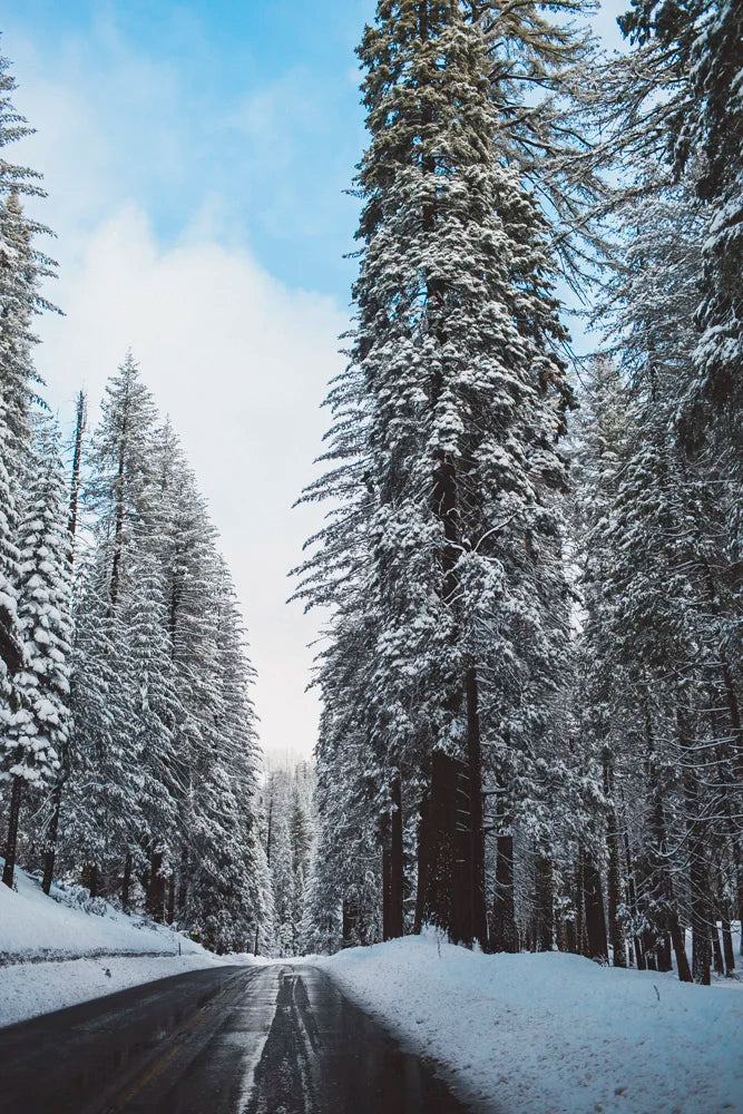 Travel photo in Yosemite National Park chasing sunlight, photo 1