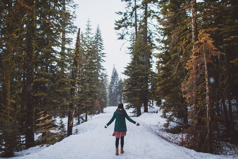 Snowy travel photo in Yosemite National Park, photo 1
