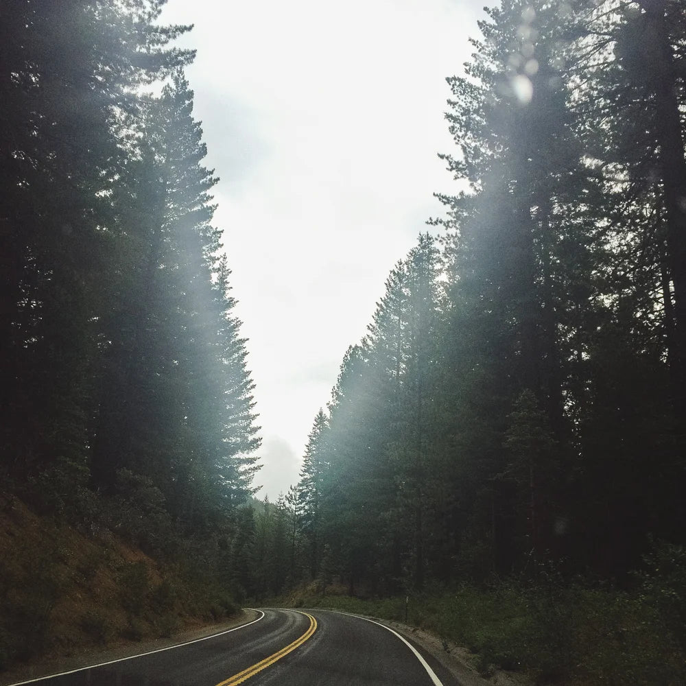 iPhone travel photo from Yosemite National Park, photo 1