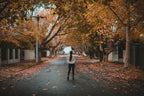 Fall: Lightroom Preset Pack