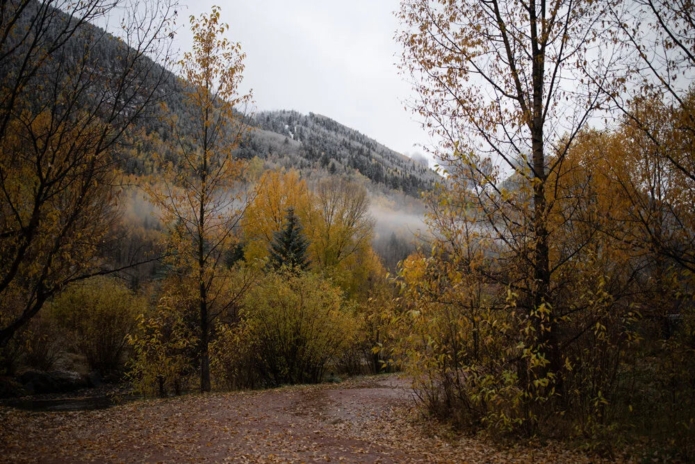 Fall: Lightroom Preset Pack