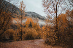 Fall: Lightroom Preset Pack