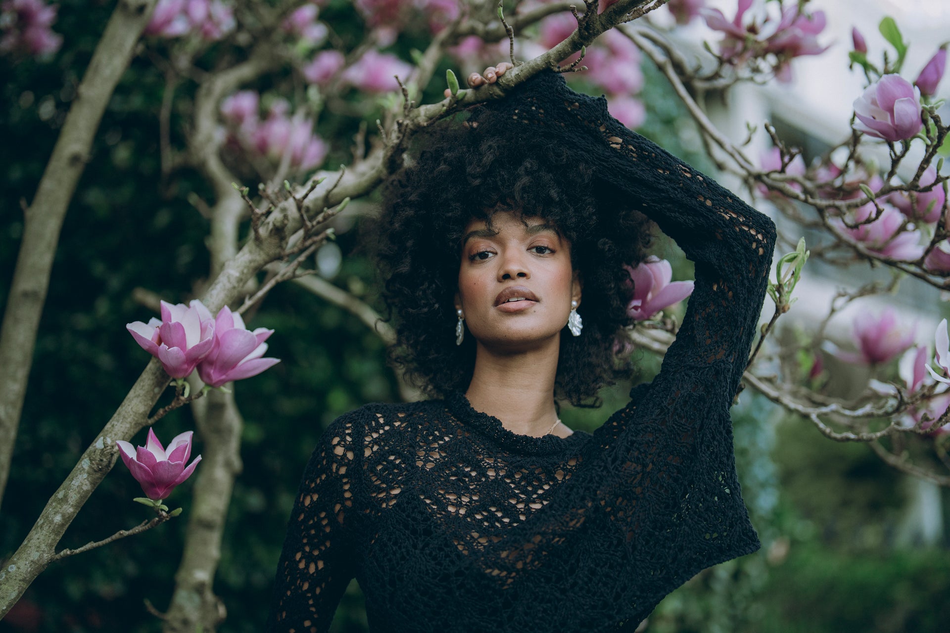 Wildfern: Lightroom Preset Pack