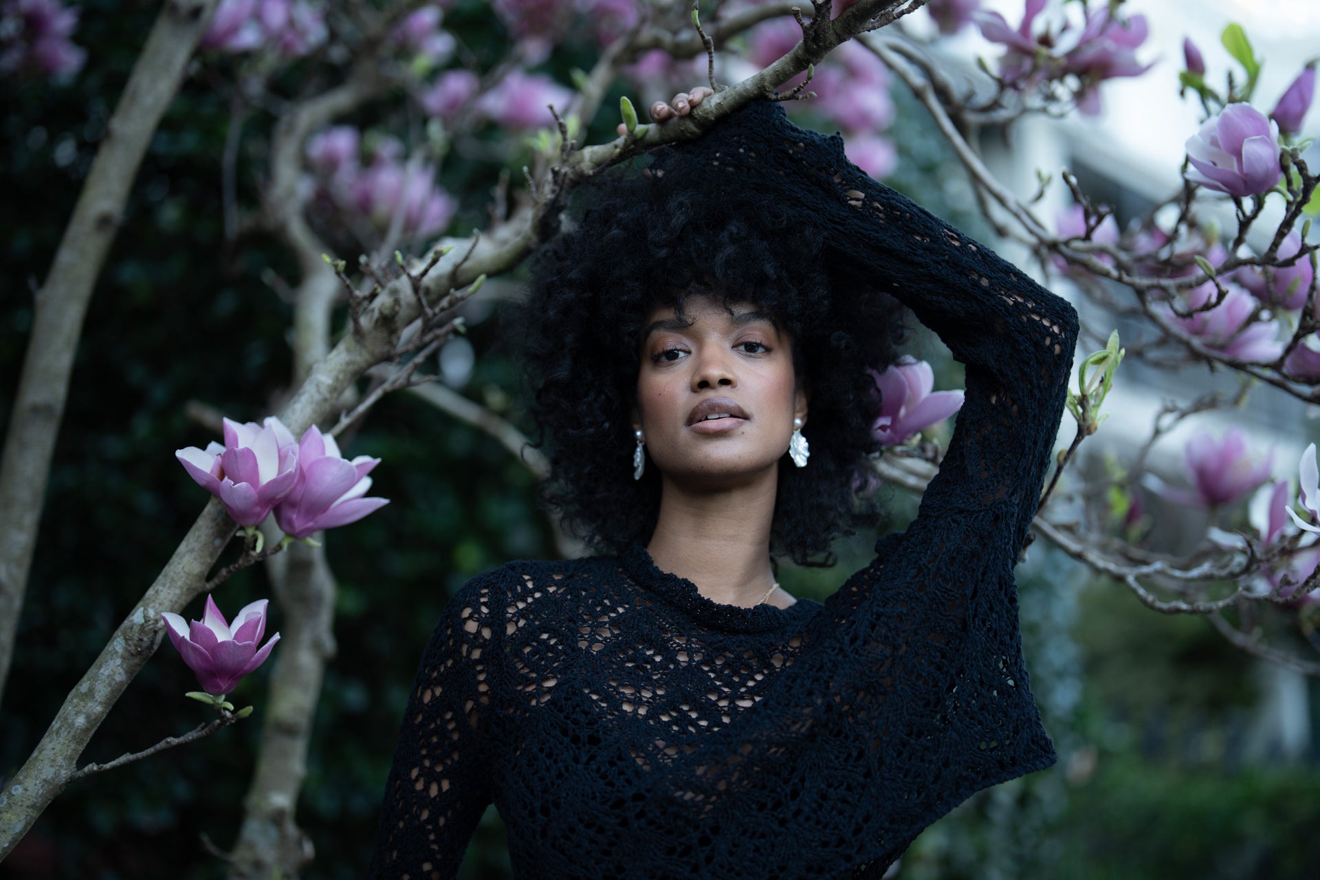 Wildfern: Lightroom Preset Pack