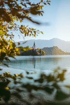 Light Leaks: Textures for Photoshop