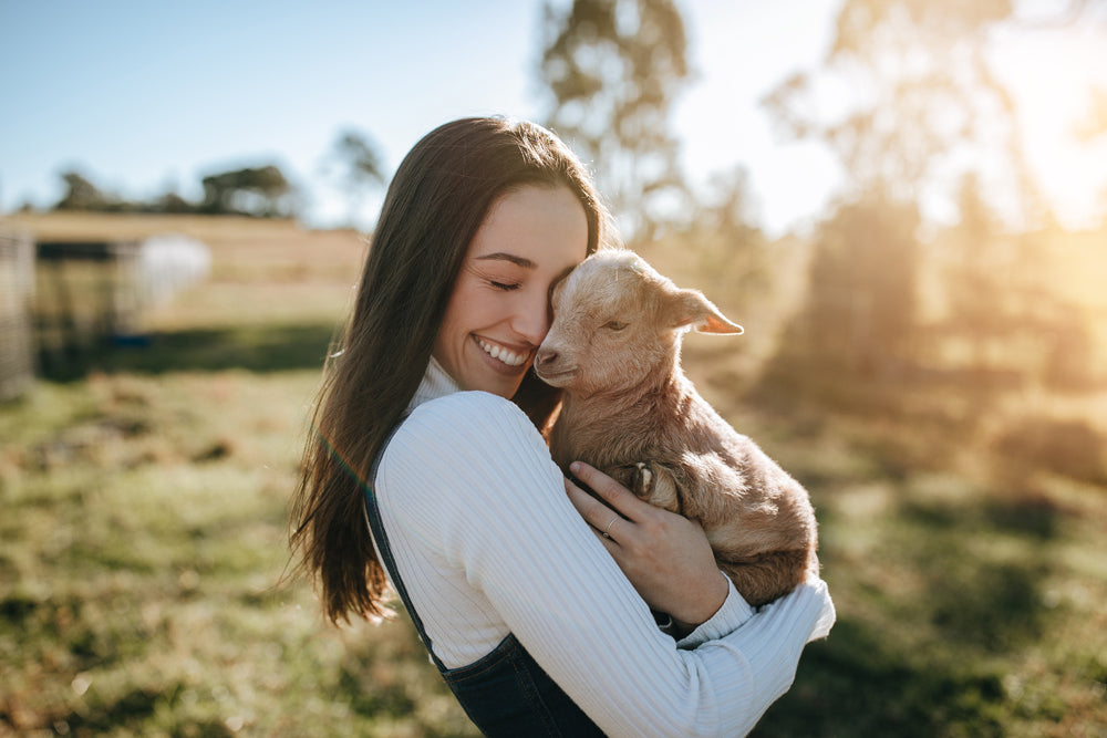 Light Leaks: Textures for Photoshop