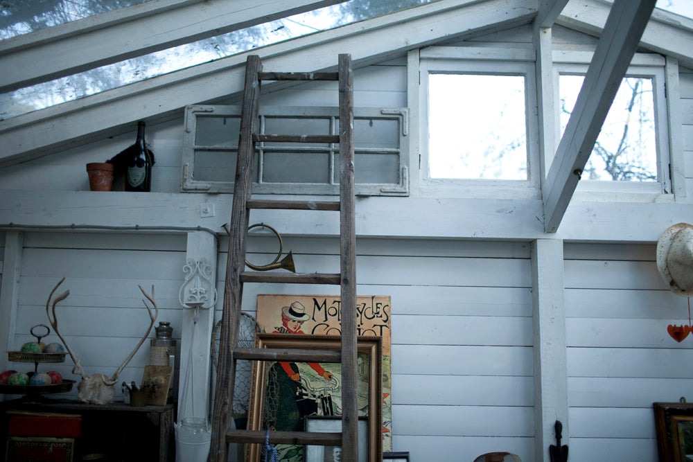 Disposable Film: Lightroom Preset Pack