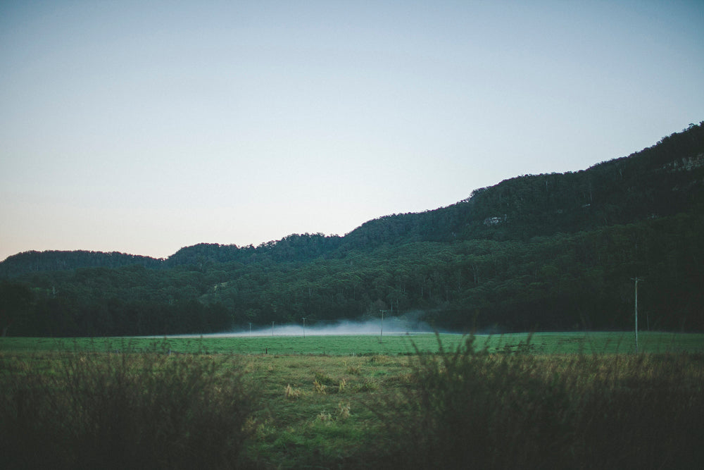 Disposable Film: Lightroom Preset Pack