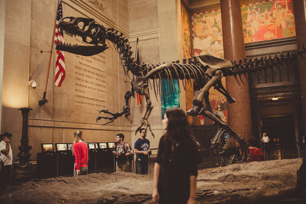 New York: Lightroom Preset