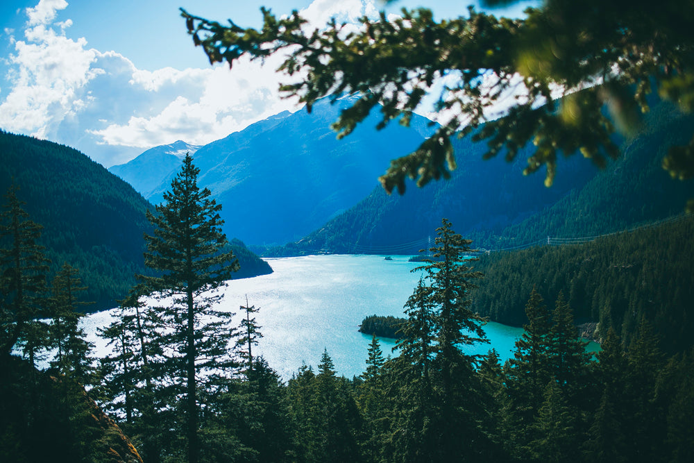 Washington: Lightroom Preset