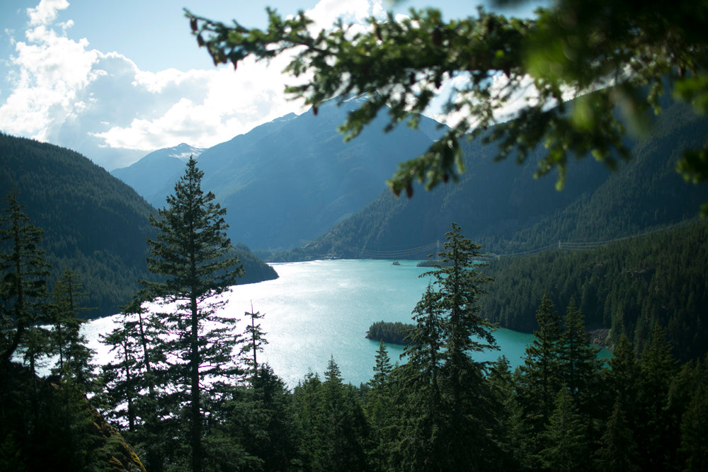 Washington: Lightroom Preset