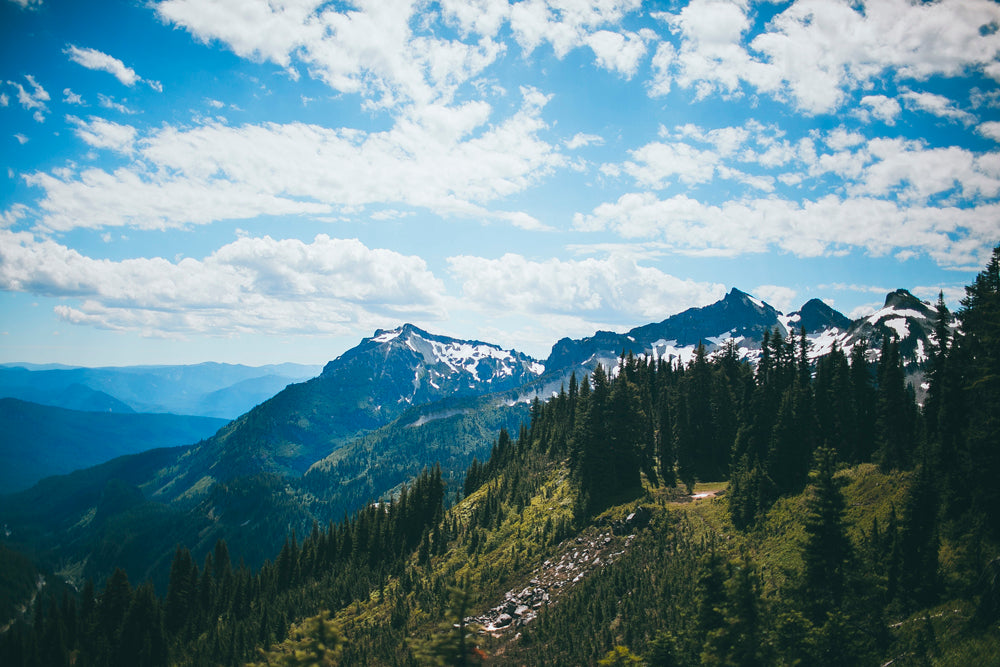 Washington: Lightroom Preset