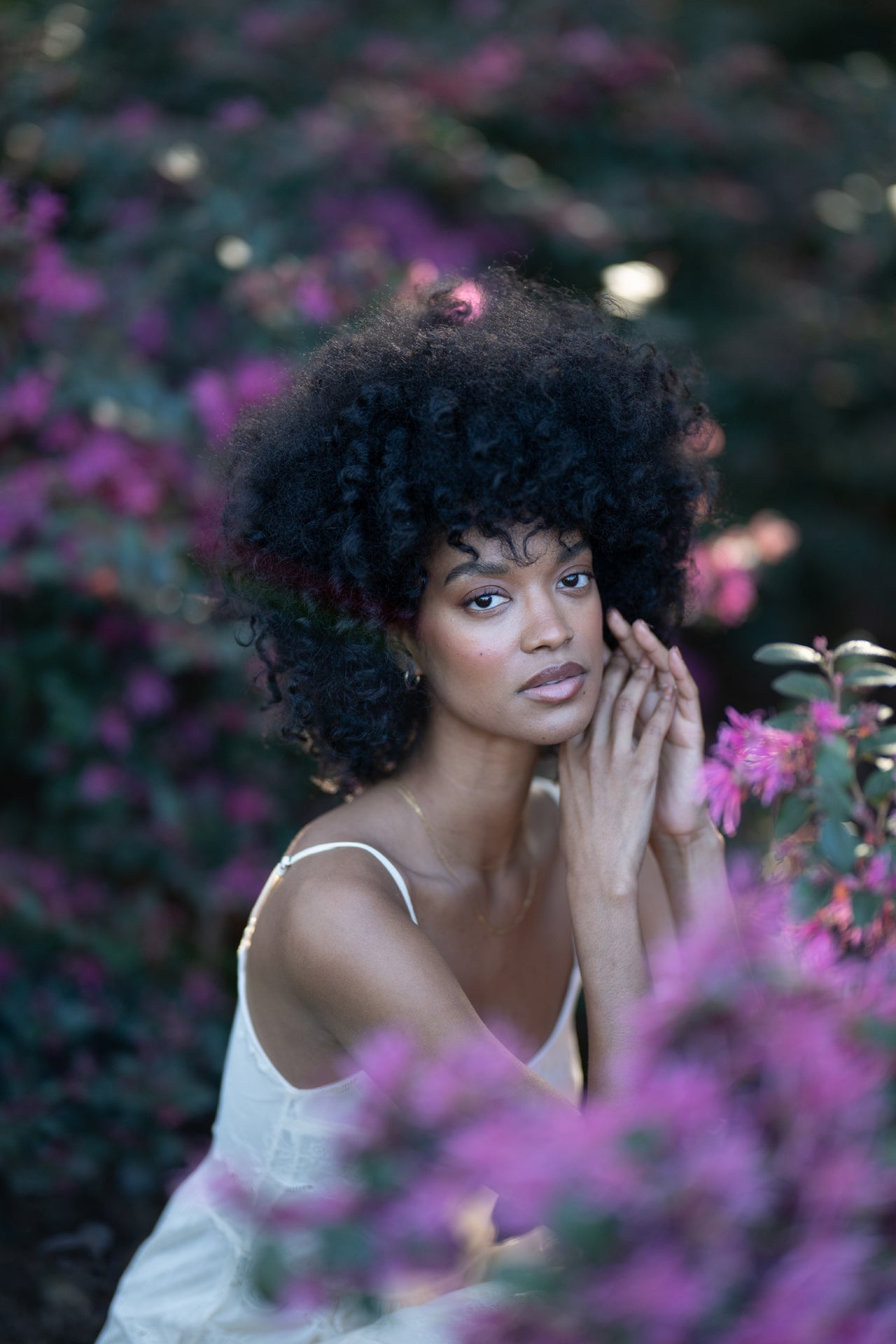 Meadow: Lightroom Preset Pack