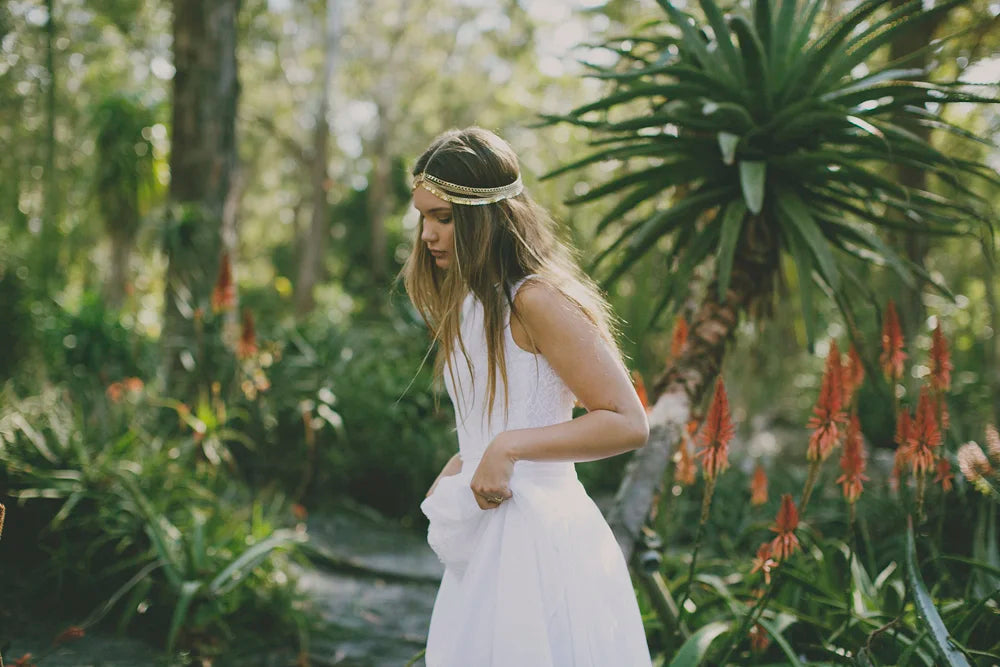 Free Photoshop Curves