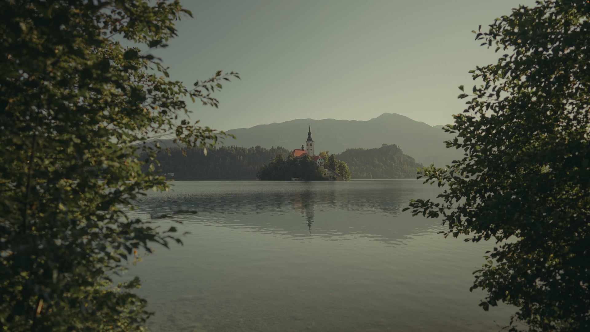 Postcard: Video LUT Pack