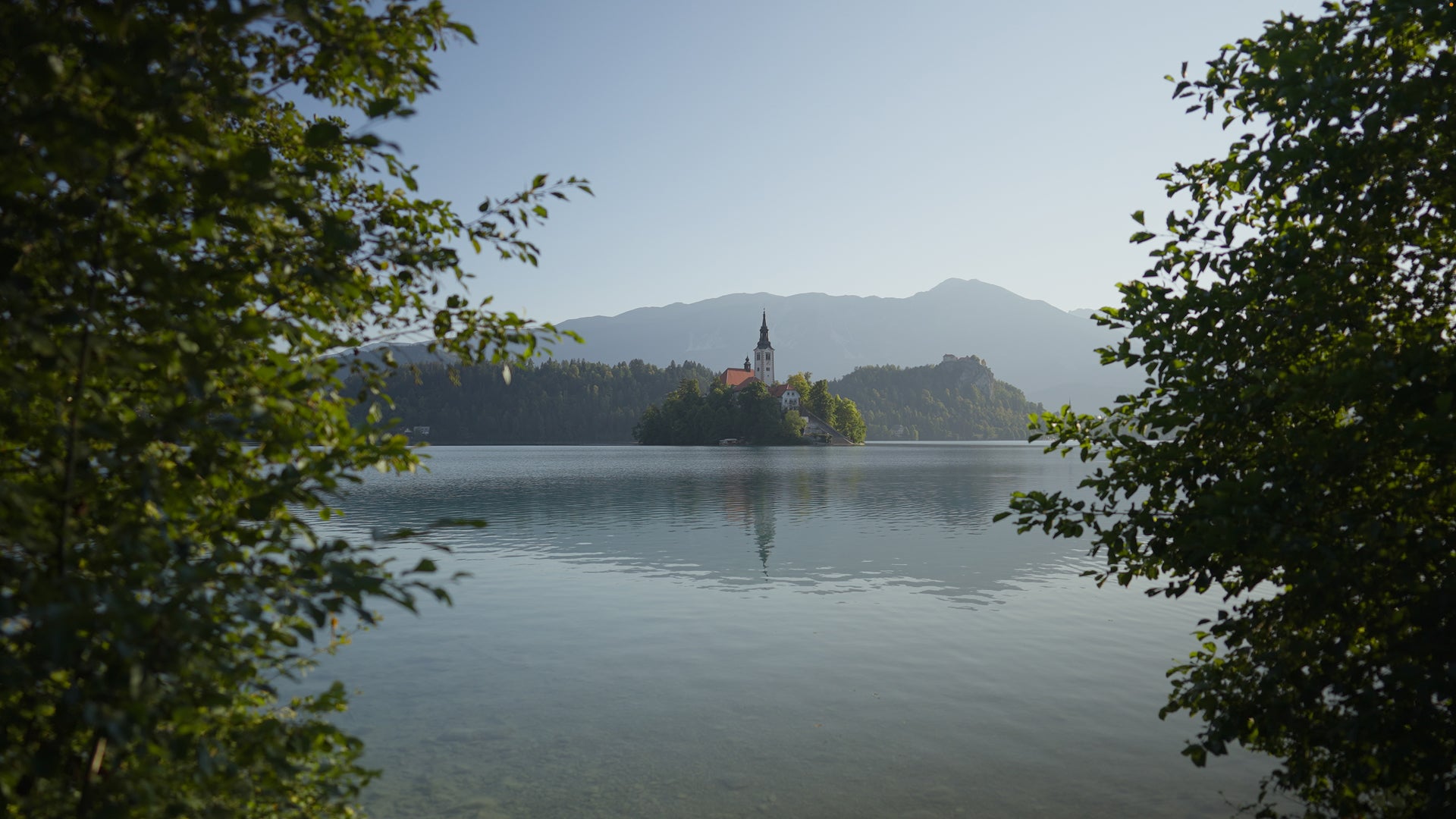 Postcard: Video LUT Pack